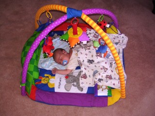 What a fun place to take my nap!